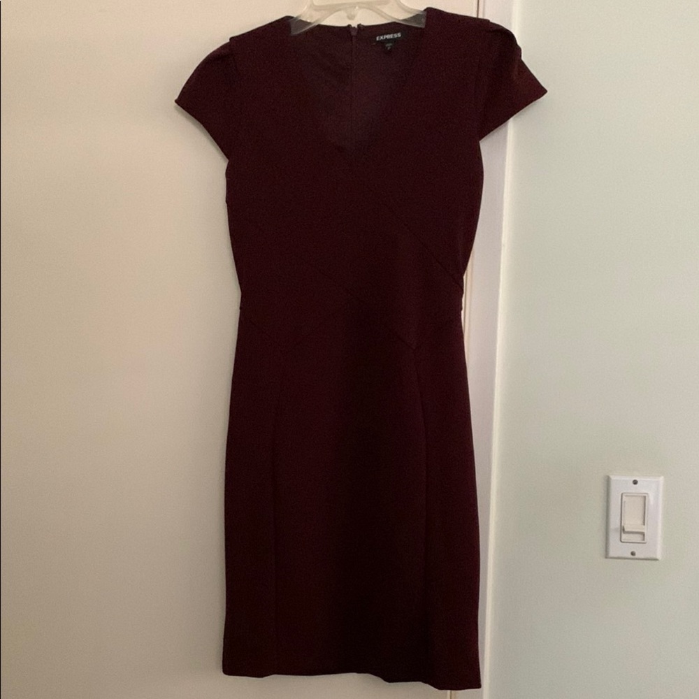 Express Red Sheath V-Neck Mini Dress